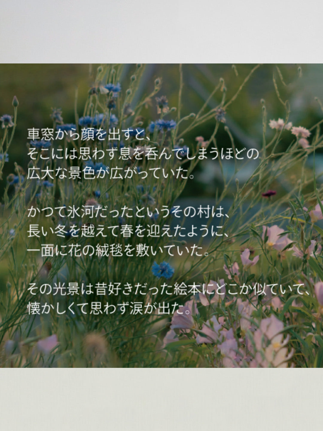 花畑広がるナイトタイムオイル《flower hill》|天然精油・爽やかな花の香り