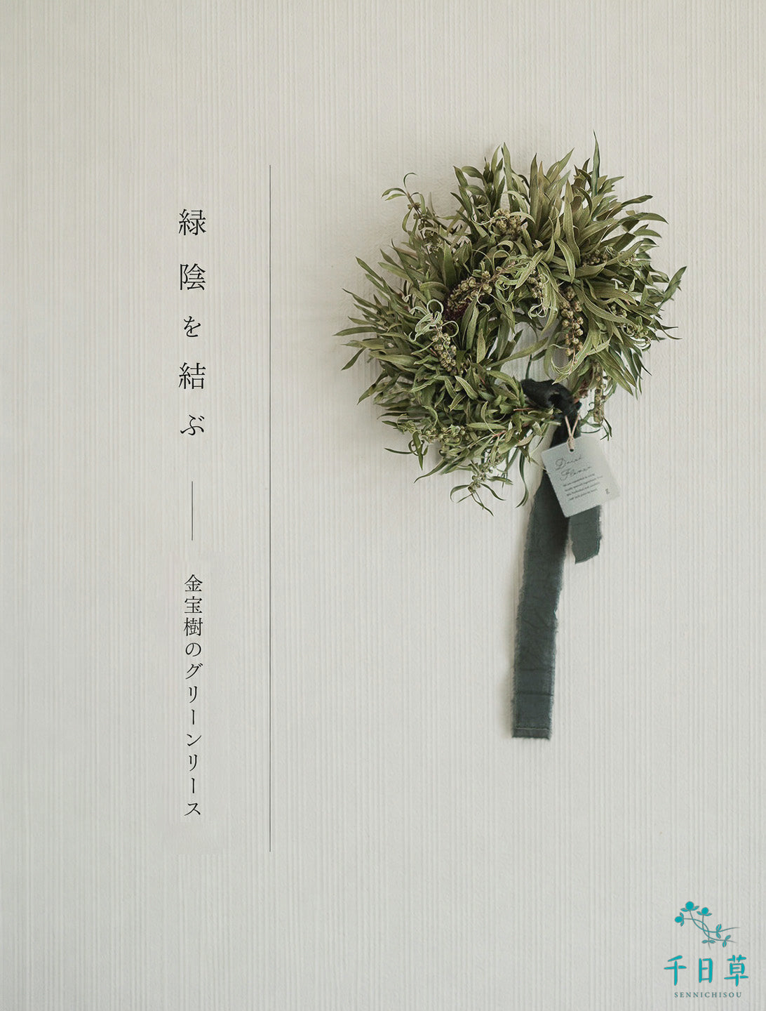 金宝樹のシンプルリース