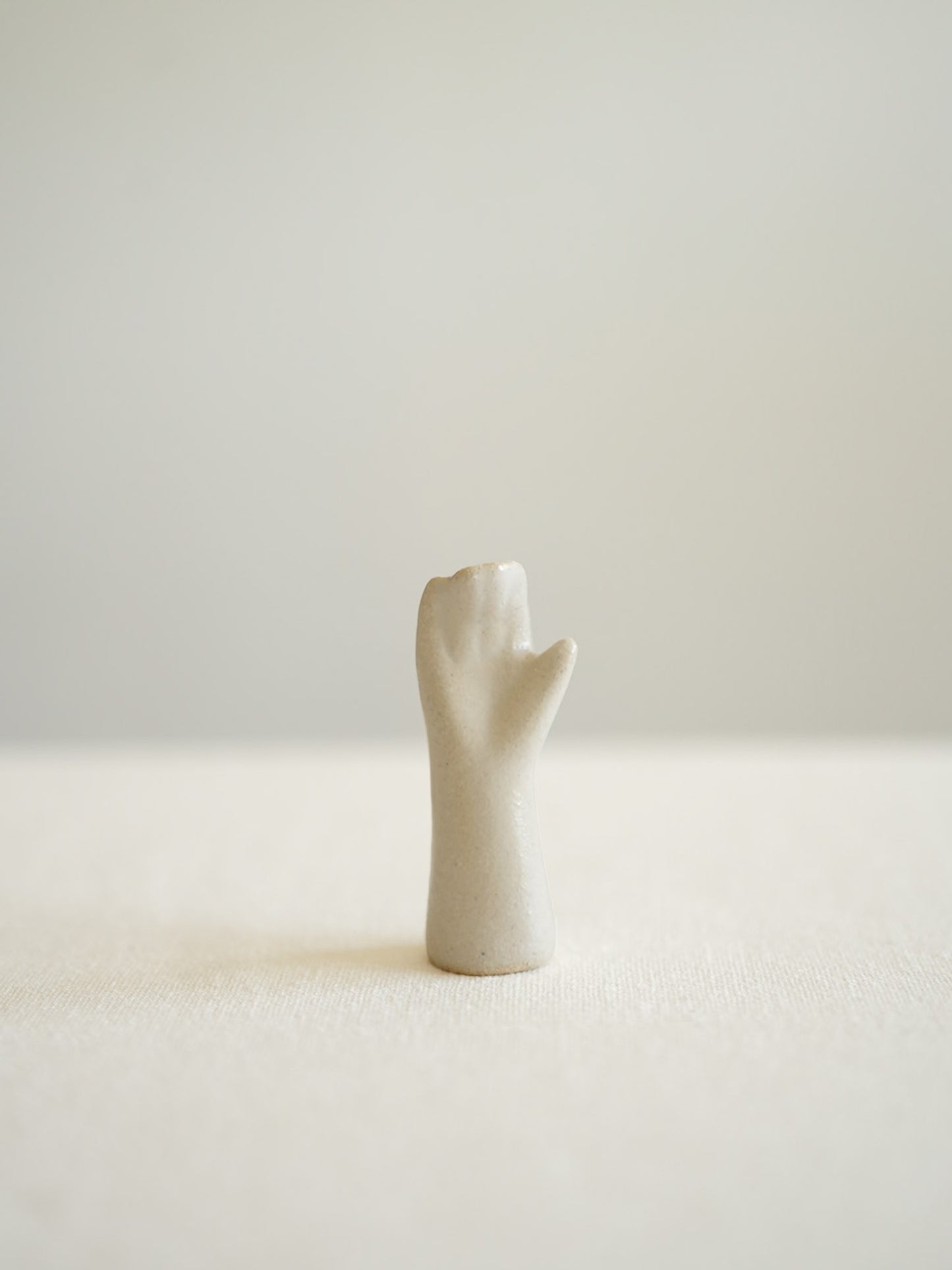 Ceramic Art Handと川名萌子さんの板皿set