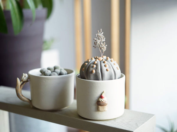 陶植【兜丸】と伊藤三智さんの植木鉢セット – 千日草