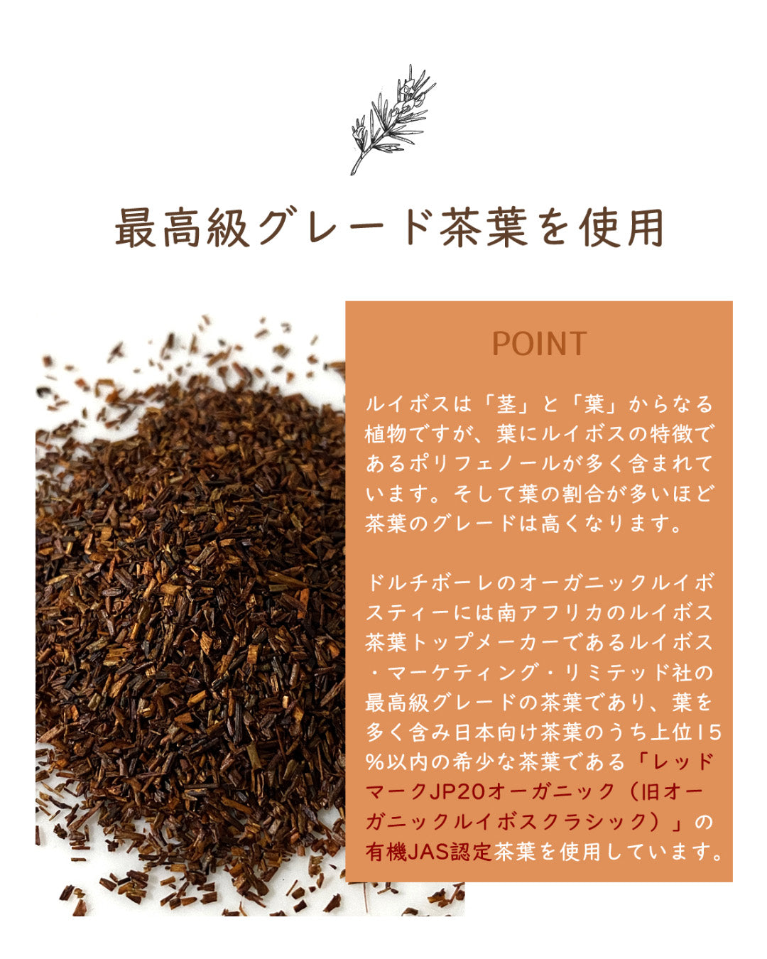 Dolci Bolle(ドルチボーレ) オーガニックルイボスティー